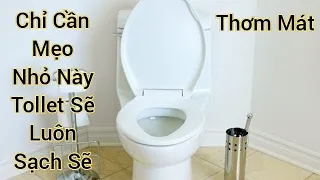 CÁCH LÀM CHO TOILET NHÀ BẠN KHÔNG BAO GIỜ DƠ HÔI TANH/MẸO GIÚP TOLLET NHÀ BẠN LUÔN  SẠCH SẼ THƠM MÁT