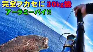 【特級 根魚】アーラミーバイヒット！！　[Special grade rock fish] grouper hit