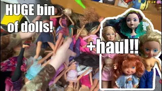 I found a doll bin at the thrift store! Toy Hunt & haul-Bratz, Ever After High, Barbie, Lol Surprise