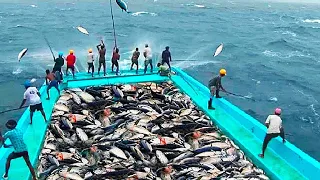 15 Momentos De Pesca Más Sorprendentes Del Mundo