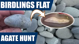 Agate hunt at Birdlings Flat in New Zealand - I cut them and one is quite a surprise!