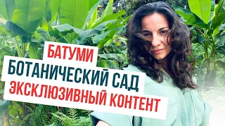 Ботанический сад Батуми: для тех, кто уже был и кто планирует побывать. Самый полный обзор!