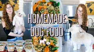 HOMEMADE + HEALTHY DOG FOOD RECIPE | COOKING FOR YOUR DOG🐶