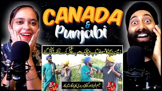 Pio Put di Ladayi Canada de piche | Canada Canada Mein Jana | Saleem albela & Goga Pasroori