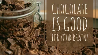 Science Says Eating Chocolate Everyday is Good for Your Brain