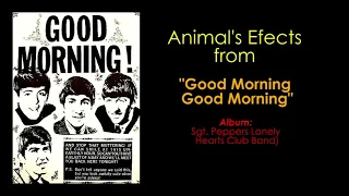 THE BEATLES /// Good Morning Good Morning (effects)