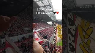 5.000 Leverkusen Fans in Mainz + für das Derby einsingen