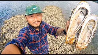 TINY ISLAND Made of Oysters | Oyster Po'Boy