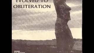 Evolved To Obliteration - Split 7" w/Taste Of Fear [1996]