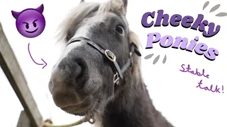 Cheeky Ponies! Stable Talk! | This Esme