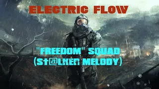 Electric Flow  - "Freedom" squad (ST@LKER melody)