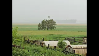 У нас на Алтае целый день идёт дождь, наконец-то. Пришлось даже русскую печь затопить, замёрзли🥶🥶🥶