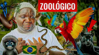 ZOOLÓGICO DE SALVADOR BAHIA BRASIL 🇧🇷 NUNCA VI ANTES