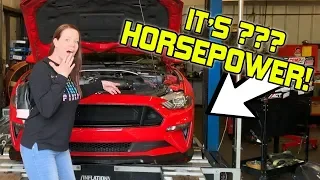 2018-2019 Mustang GT Dyno - This is WHY YOU NEED E85... UNREAL!!!