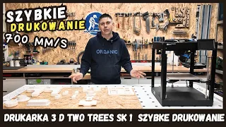 Two Trees SK-1 niesamowicie szybka drukarka 700mm/s - TEST + moje wydrukowane projekty