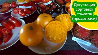 Дегустация сортовых томатов №2 (продолжение) Tasting of varietal tomatoes No. 2 (continued)