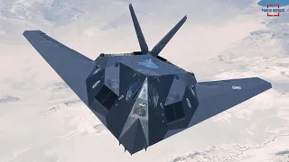 F-177 Nighthawk, The Idea May Have Been Born from the Scientists of the Soviet Union