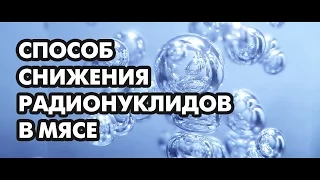 Радионуклиды в мясе.Способ снижения. Диетолог Борис Скачко.