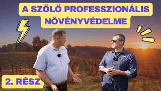 A szőlő professzionális növényvédelme | 2. rész