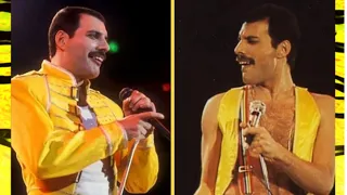 Frisky Freddie Friday delights in yellow💛