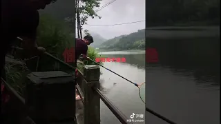 Best Fishing Video 🐟 Amazing Fishing 🔴  Fishing 🔴 Tik Tok China #shorts 0003 (3182)