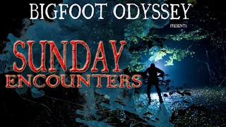 SUNDAY ENCOUNTERS - RICK TAYLOR RETURNS