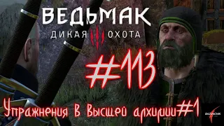 Упражнения в высшей алхимии (часть 1) / Ведьмак 3: Дикая охота / Полное прохождение#113