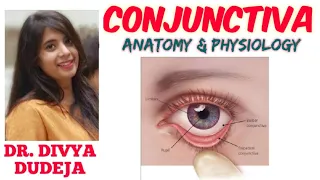 CONJUNCTIVA ANATOMY | Ophthalmology | Conjunctiva of eye
