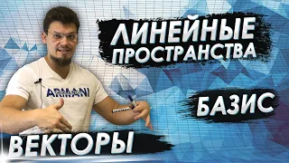 Высшая математика. Линейные пространства. Векторы. Базис