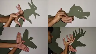 Hand Shadow Puppet Tutorial | Handicraft