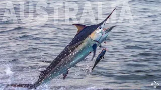 Fishing the Great Barrier Reef for Black Marlin - Part 2