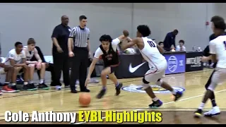 Cole Anthony has Crazy Handles & Court Vision! #1 Point Guard in 2019