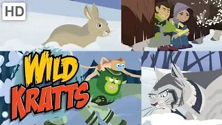 Wild Kratts 🐰🐂🌨️ Fur in the Snow ❄ Happy Holidays! ❄ Kids Videos