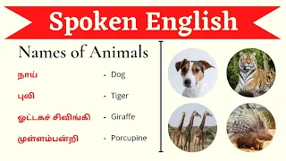 Animals names in Tamil and English with pictures || Spoken English for beginners || Ultramind