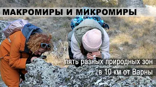 Взрослые люди берут в руки микроскоп и идут в лес - медленные путешествия в природу Варны с биологом