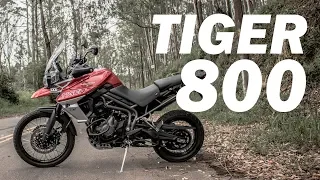 TRIUMPH TIGER 800 XCA 2019 | MOTOS