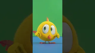 Watch out Chicky! #funnyanimals #shorts  #chicky | Cartoon in English for Kids