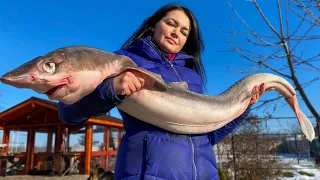 Fried 15kg of SHARK on the Grill! Recipe for Exotic Shark kebab KATRAN