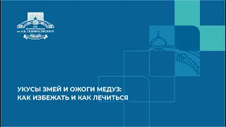 Укусы змей и ожоги медуз: как избежать и как лечиться