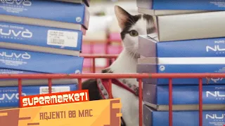 Supermarketi - Agjenti 00 Maç | NGOP.TV