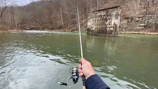 THIS River is LOADED with TROUT! (rainbow trout fishing)