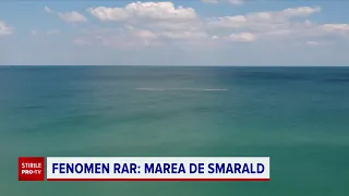 Fenomen rar la Marea Neagră. Ce culoare are apa mării și care este explicația