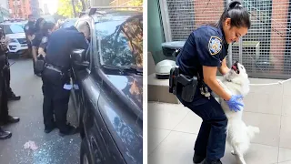 NYPD Officer Adopts Dog She Helped Rescue From Hot Car