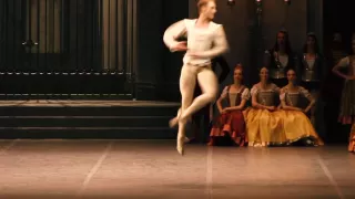 Il lago dei cigni/Swan Lake - Variazione (Teatro alla Scala)