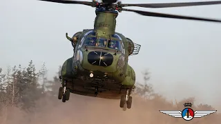 Laatste trainingsmissie D-667 (CH-47D)