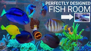 This Fish Room is What Reefing Dreams Are Made Of