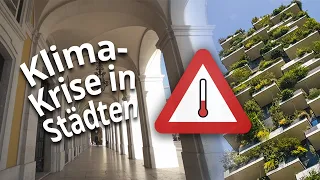 Klimakrise in Städten: So können wir das Stadtklima verbessern