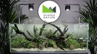 Scaped Nature - Aquascaping Shop GRAND OPENING
