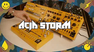 ⚡ ACID STORM | Behringer TD3 / TD3 MO / RD6 Jam 🙂