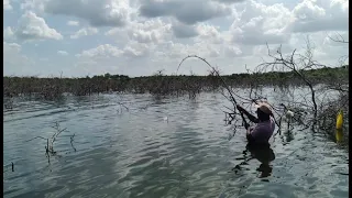 Fishing videos 🎣|| How to catch eel fishes 🐟||incredible fishing 🎣||black rohu fishing 🎣